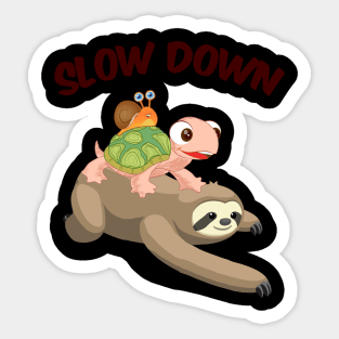 Slow Down Funny Turtle Riding Sloth Sticker